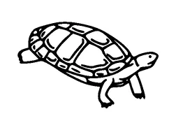 Turtle Tattoo Meaning, PNG and SVG