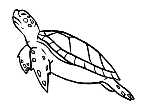 Turtle Swimming Tattoo Meaning, PNG and SVG