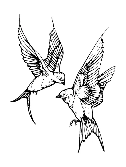 Two Birds In Face To Face Tattoo Meaning, PNG and SVG