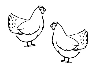 Two Chickens Tattoo Meaning, PNG and SVG