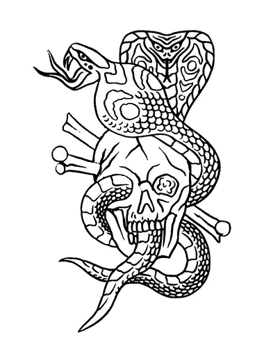 Two Cobras On Skull Tattoo Meaning, PNG and SVG