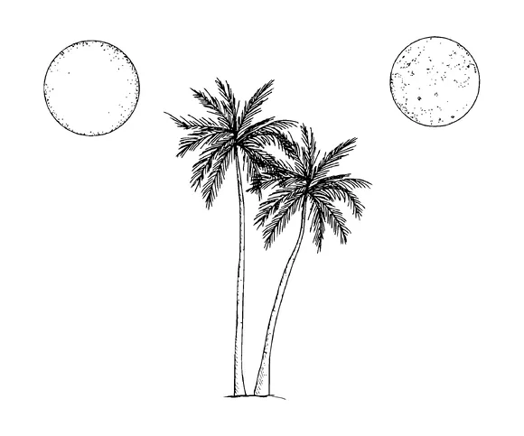 Two Palm Trees And Moon Tattoo Meaning, PNG and SVG