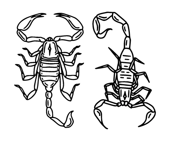 Two Scorpions Tattoo Meaning, PNG and SVG