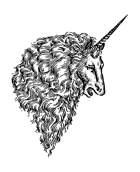 Unicorn Head Long Hair Tattoo Meaning, PNG and SVG