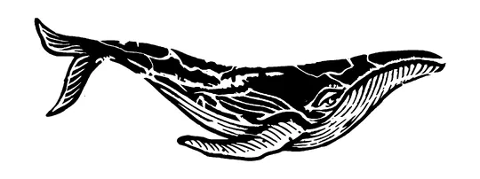 Whale Tattoo Meaning, PNG and SVG