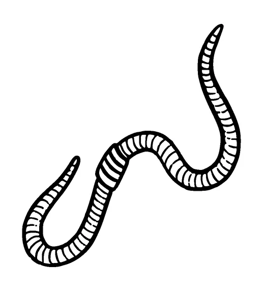 Worm Tattoo Meaning, PNG and SVG