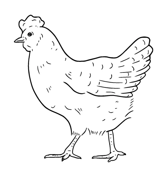 Chicken Tattoo Meaning, PNG and SVG