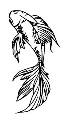 Gold Fish From Top Tattoo Meaning, PNG and SVG