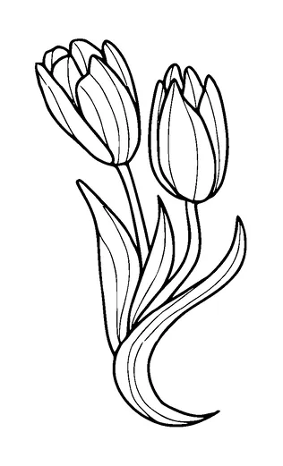 Tulip Flower Tattoo Meaning, PNG and SVG